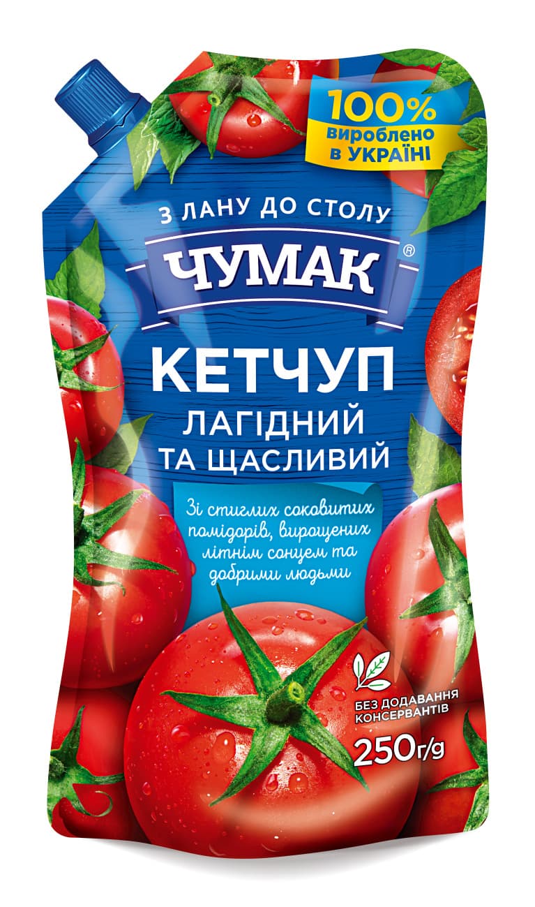K303 GOSPODAROCKA KETCHUP CHASNIK 30X300G